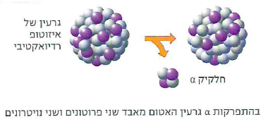 (בספר תרשים:) בהתפרקות בטא גרעין האטום מאבד נויטרון ונוסף לו פרוטון.